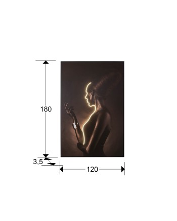 SILUETA-CUADRO LUZ LED 120X180